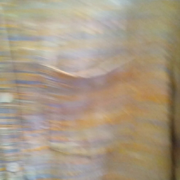 Womans L Coldwater Creek Cream and Orange Relaxed Button Down Shirt - Picture 3 of 4